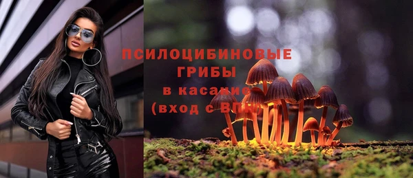 тгк Протвино