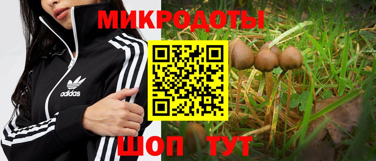 Советск  Галлюциногенные грибы Magic Shrooms  Вход с VPN 